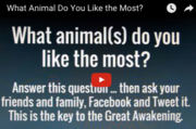 animal guide video